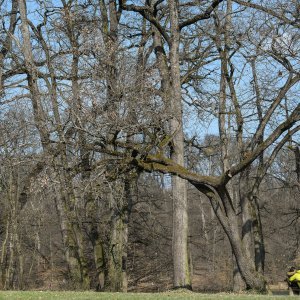 Zagreb: Građani uživali u šetnji u parku Maksimir