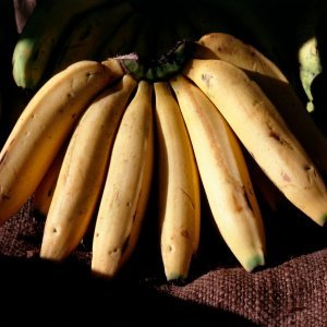 Banane