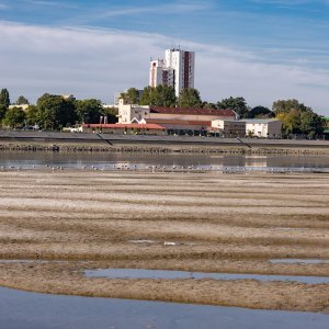 Nizak vodostaj Drave