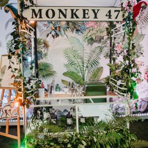 Funky Monkey Jungle Tour