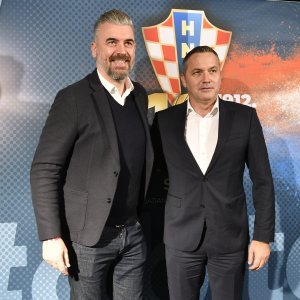 Stipe Pletikosa, Mario Ćustić