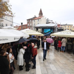 Zadar