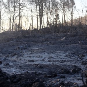 Posljedice požara na području Raslina