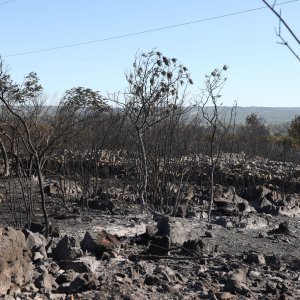 Posljedice požara na području Raslina