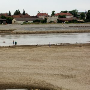 Vodostaj Drave u Osijeku