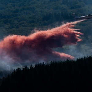 Posljedice požara u Francuskoj