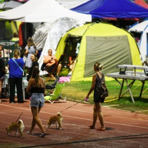 Ljetna noćna izložba pasa u Parku mladeži u Splitu