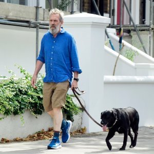 Hugh Laurie