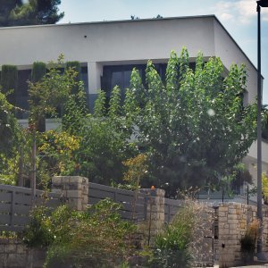 Vila Kylie Minogue u Rovinju