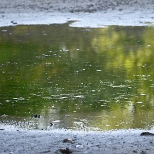 Isušeno jezero Bundek