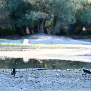 Isušeno jezero Bundek