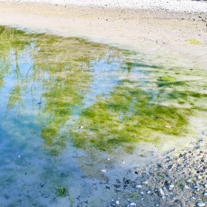 Isušeno jezero Bundek