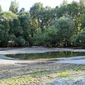 Isušeno jezero Bundek