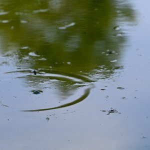 Isušeno jezero Bundek