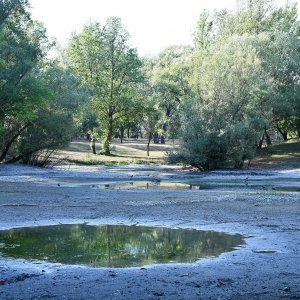 Isušeno jezero Bundek