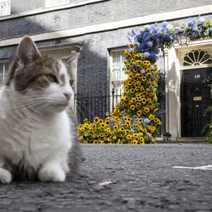 Dan neovinosti Ukrajine u Londonu