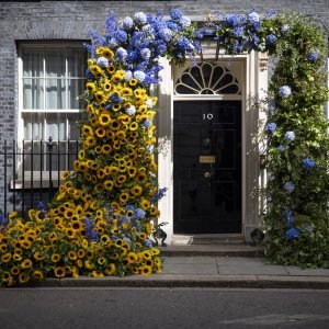 Dan neovinosti Ukrajine u Londonu