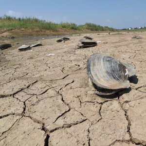 Suša u Kini