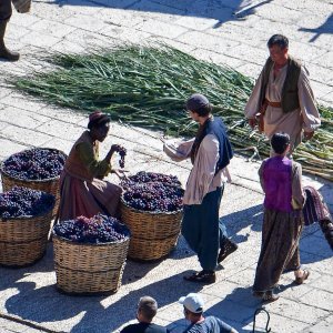 Snimanje serije 'Vikings' u Trstenome