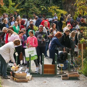 Godišnja rasprodaja u Botaničkom vrtu