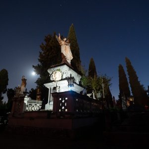 Gradsko groblje Zadar