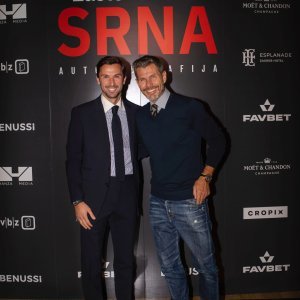 Darijo Srna, Zvonimir Boban