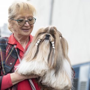 Međunarodna izložba pasa CACIB Zagreb