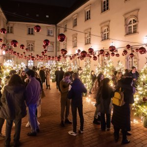 Bas Naš Advent na platou Gradec