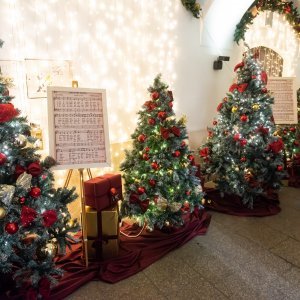 Natali Dizdar otvorila je ‘Advent festival u Prolazu‘