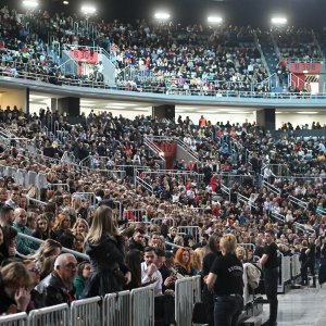 Koncert Zdravka Čolića u Areni Zagreb