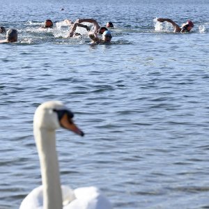 Kupači na Jarunu