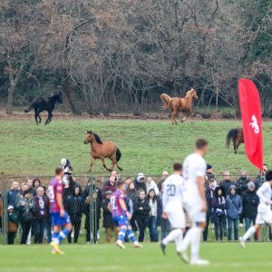 Hajduk - Slovacko