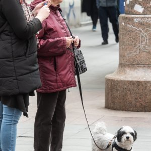 Subotnja špica s ljubimcima