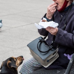 Subotnja špica s ljubimcima