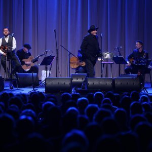 Koncert Rade Šerbedžije