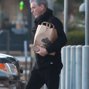 Pierce Brosnan