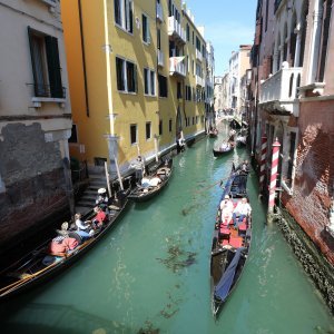 Turisti u Veneciji