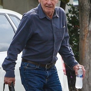 Harrison Ford i Georgia Ford