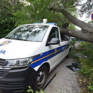 Šibenik: Jak vjetar srušio veliko drvo i razbio policijski kombi