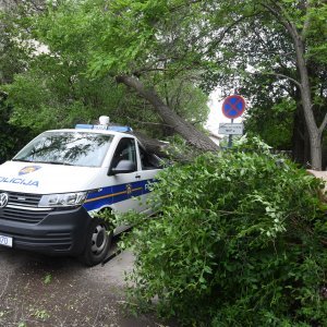 Šibenik: Jak vjetar srušio veliko drvo i razbio policijski kombi