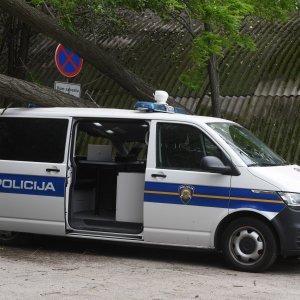 Šibenik: Jak vjetar srušio veliko drvo i razbio policijski kombi