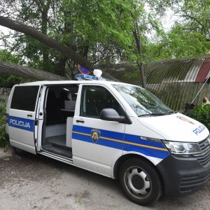 Šibenik: Jak vjetar srušio veliko drvo i razbio policijski kombi