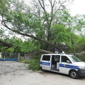 Šibenik: Jak vjetar srušio veliko drvo i razbio policijski kombi