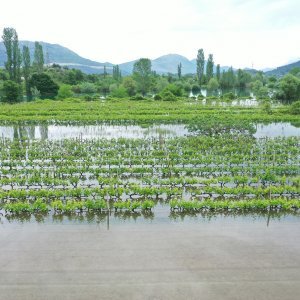 Fotografije iz zraka poplavljenih polja na vrgoračkom području