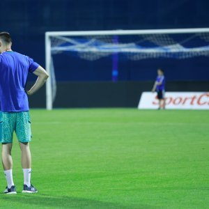 Igrači Dinama naslov prvaka proslavili s obitelji