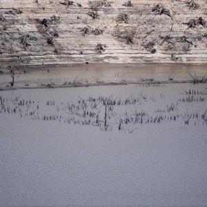 Isušeno Lokvarsko jezero