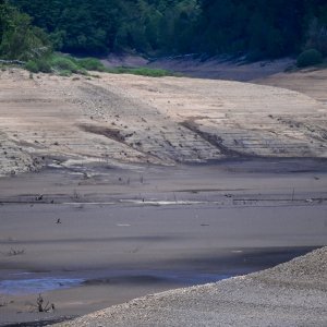 Isušeno Lokvarsko jezero