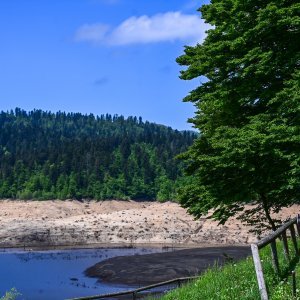 Isušeno Lokvarsko jezero