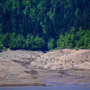 Isušeno Lokvarsko jezero