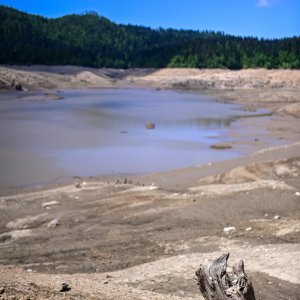 Isušeno Lokvarsko jezero